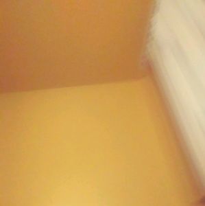 Meet your Posher, Anne